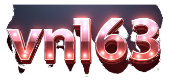 vn163 logo